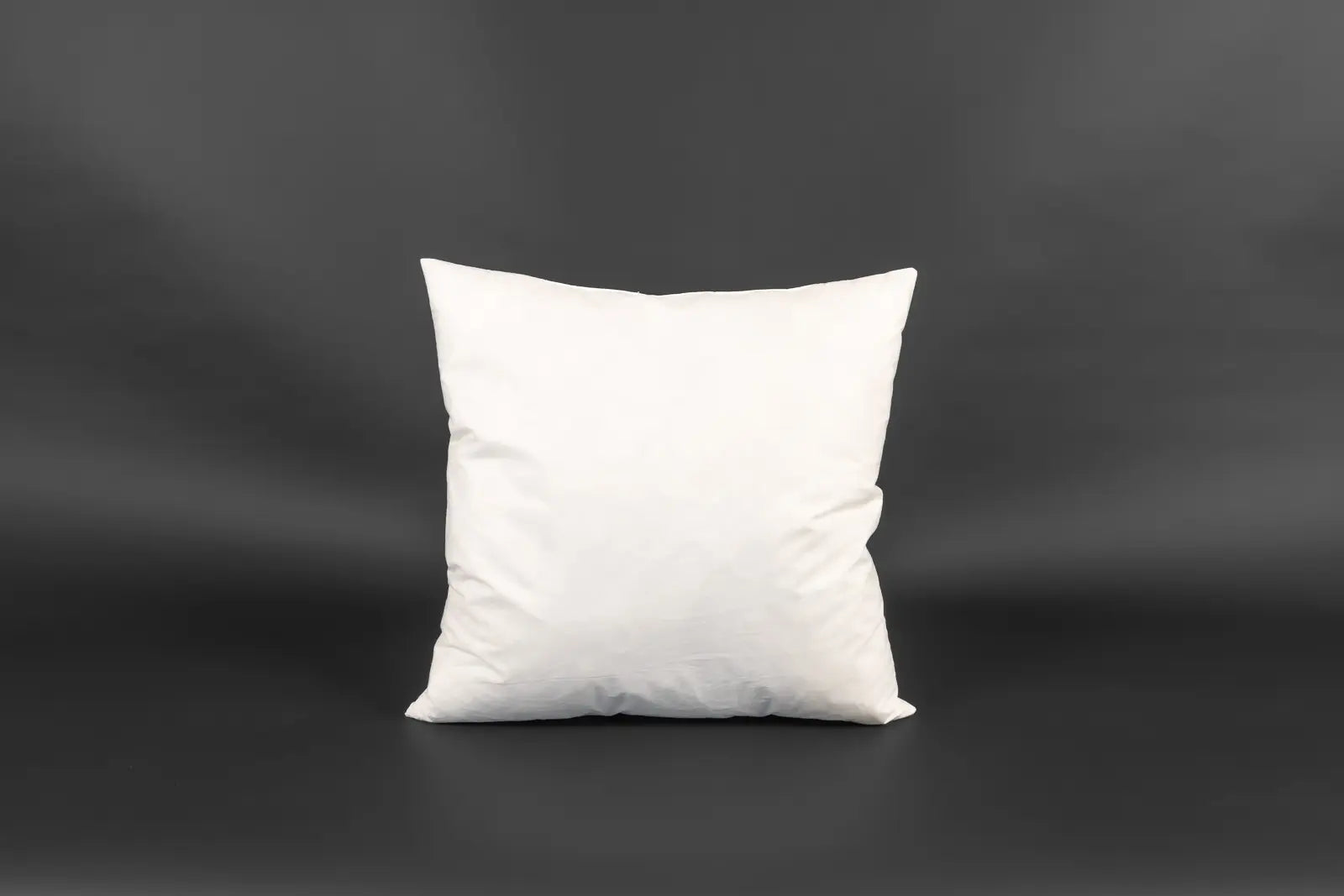 Kissenfüllung Feder 50x50 (nur Indoor)