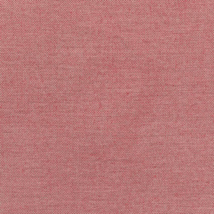 Rot