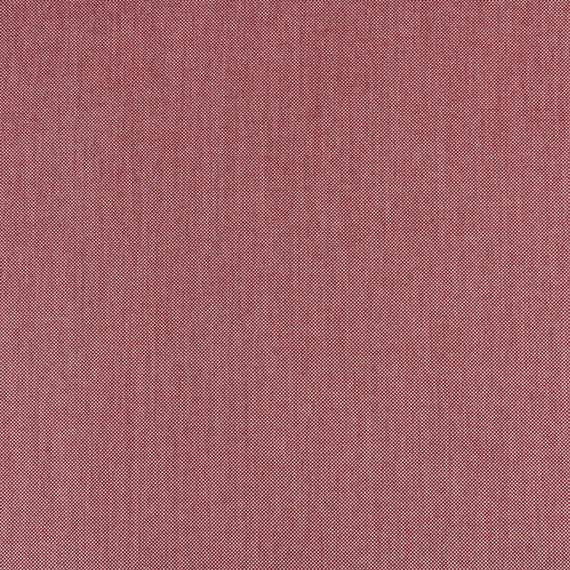Rot