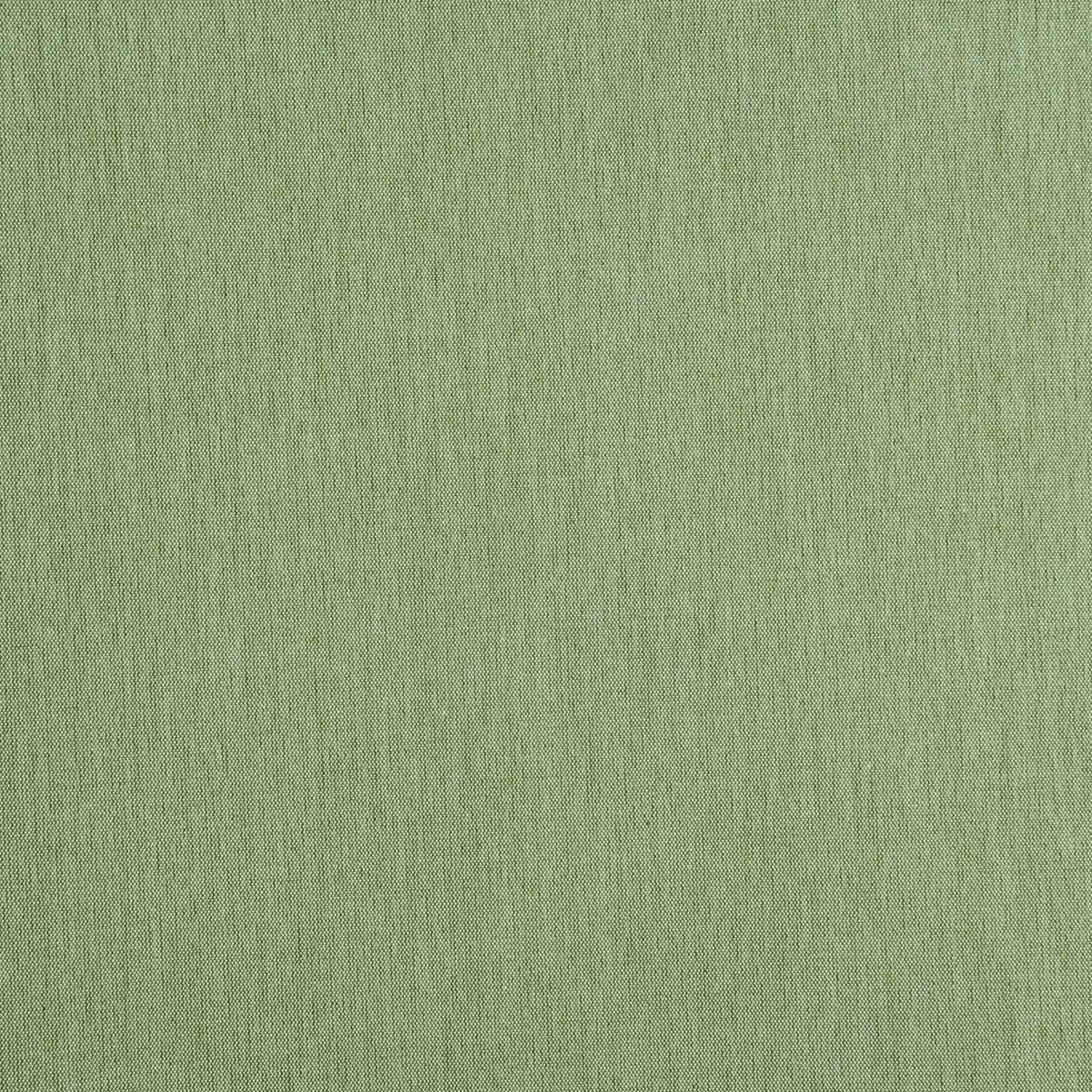 Gras