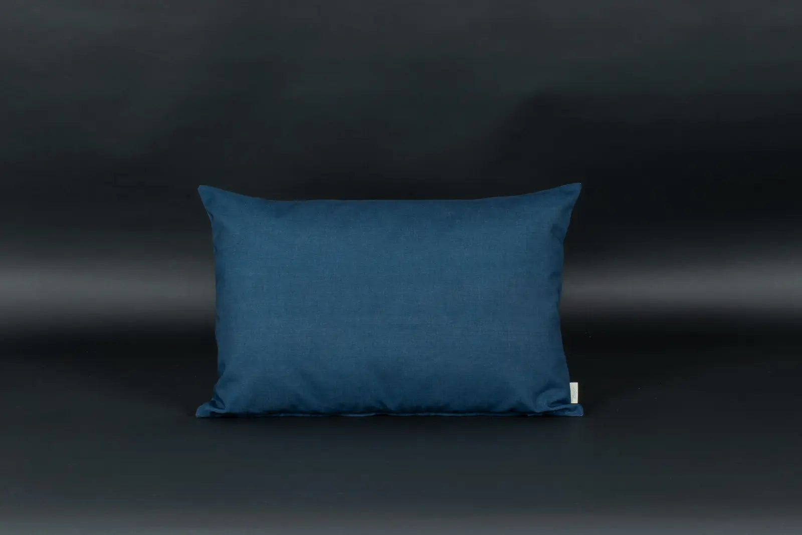 Winter Uni Kissen Blau